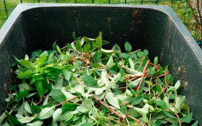 Green Waste Removal and How to Reduce Garden Mess