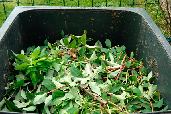 Green Waste Removal and How to Reduce Garden Mess